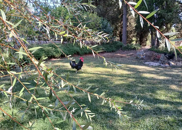 La Casina Nel Chianti Feriehus